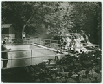 The Blithewood Swimming Pool, ca. 1957.