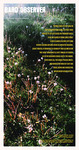 Bard Observer Vol. 24 No.6 (May 2026)